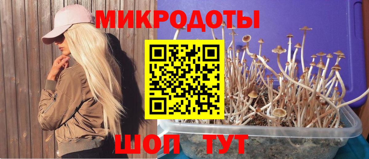 Галлюциногенные грибы мицелий  Вход с VPN  даркнет сайт  Красноярск 
