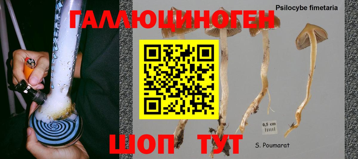 Галлюциногенные грибы прущие грибы Красноярск